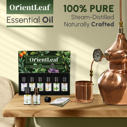 Essential Oils for Diffusers, 100% Natural Plant Extracts Six Scents