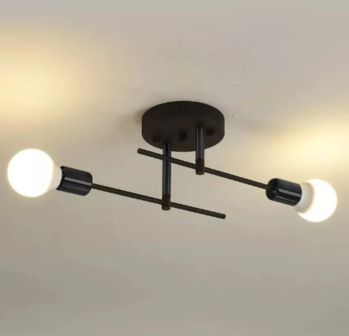 Nordic Simple Living Room Ceiling Light 2 lamps Modern Long Iron Arm