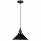 Black Metal Cone Shade Pendant Light Fixture~3393